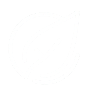 Packaging écologique sans plastique biodégradable et respectueux de la planète.