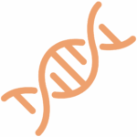 Produits naturels pour le soutien du microbiote de l’immunité et de la santé cognitive.