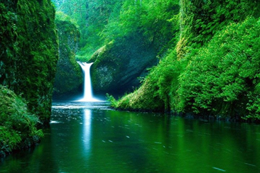 Produits naturels pour le soutien du microbiote de l’immunité et de la santé cognitive.